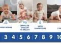 Niemowlę do kiedy? Rozwój miesiąc po miesiącu porady dla rodziców