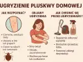 Jak rozpoznać ugryzienia pluskwy u dzieci: czerwone, swędzące ślady na rękach i ramionach, często ułożone w linie. Objawy to silny świąd, obrzęk, zaczerwienienie.