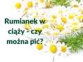 Rumianek w ciąży - czy można pić? Wiele kobiet zastanawia się nad tym pytaniem, widząc świeże kwiaty.
