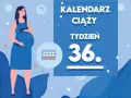 Kobieta w 36. tygodniu ciąży, z brzuszkiem. Obok kalendarz i napis "Kaledarz ciąży tydzień 36".