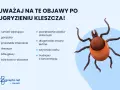 Uważaj na objawy po ugryzieniu kleszcza: rumień, gorączkę, bóle głowy, zmęczenie, sztywność karku.