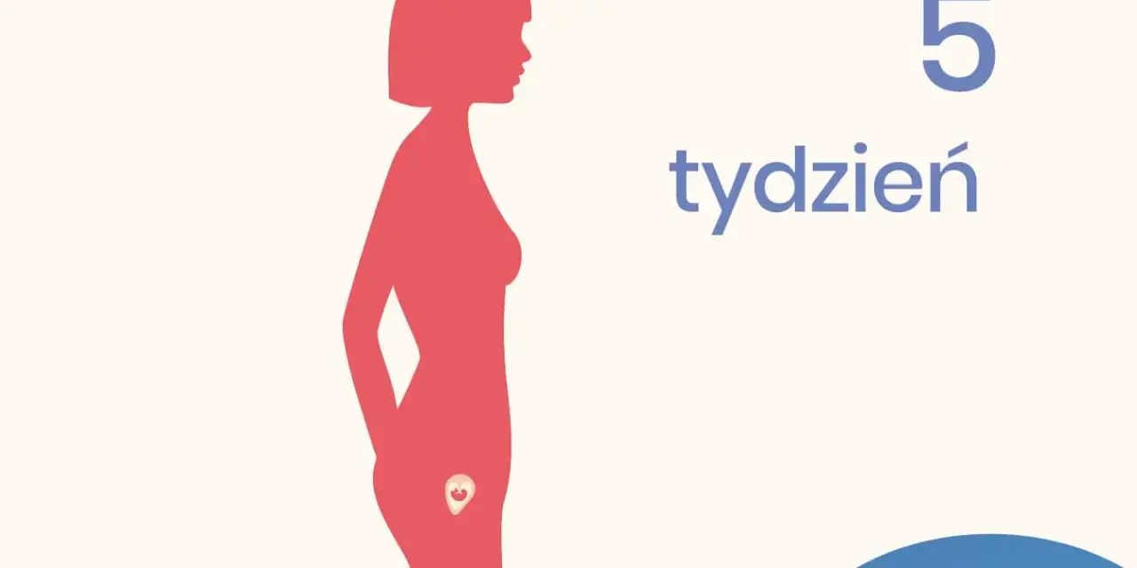 Sylwetka kobiety w profilu z zarodkiem w łonie, obok napis "5 tydzień".