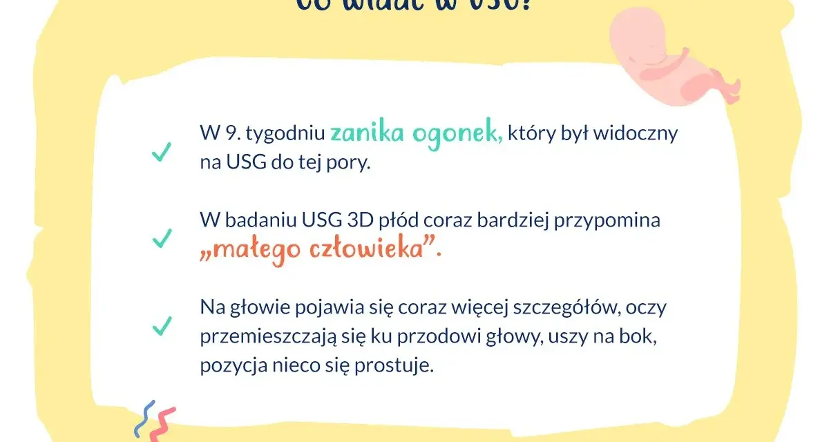 W 9. tygodniu ciąży zanika ogonek płodu, który na USG przypomina już "małego człowieka". Pojawiają się detale głowy.