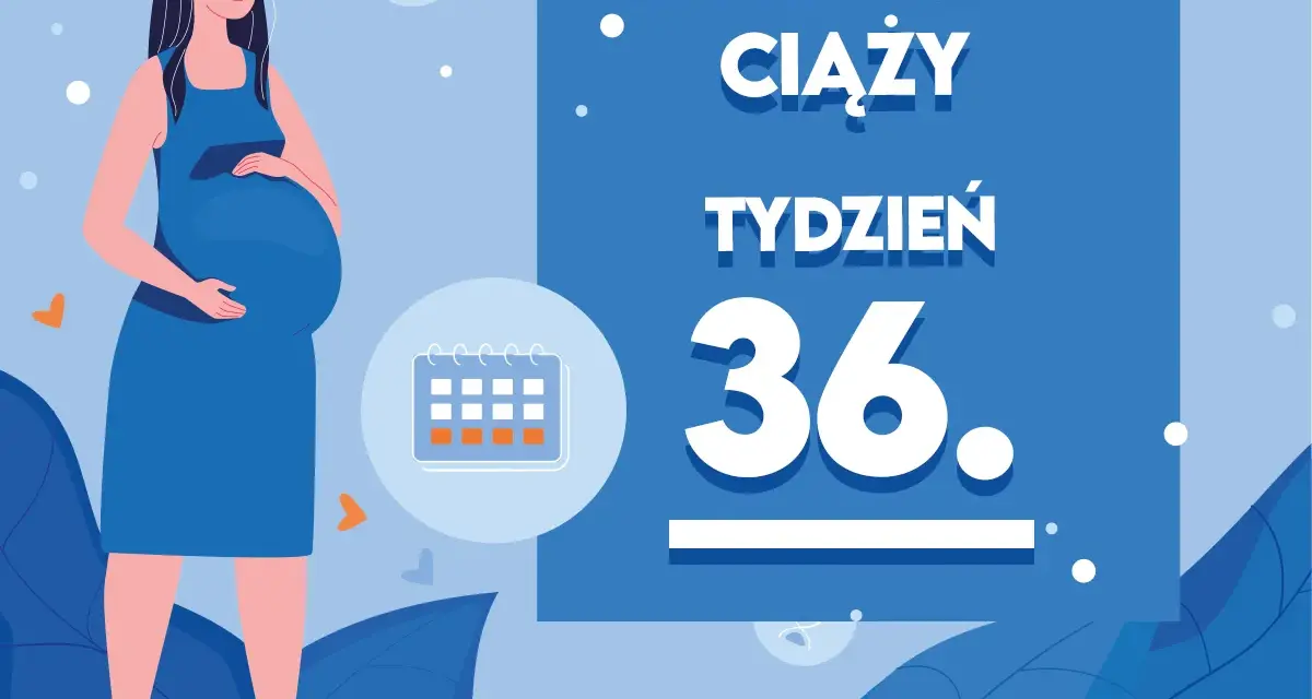 Kobieta w 36. tygodniu ciąży, z brzuszkiem. Obok kalendarz i napis "Kaledarz ciąży tydzień 36".