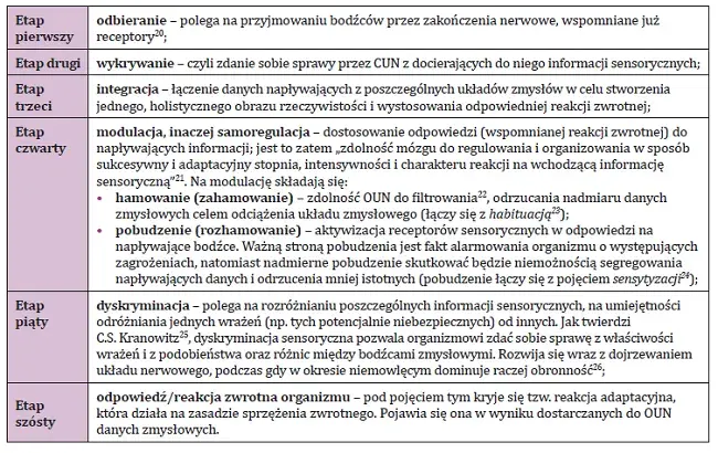 Testy integracyjne u dzieci: Przykłady i co mówią o rozwoju SI?