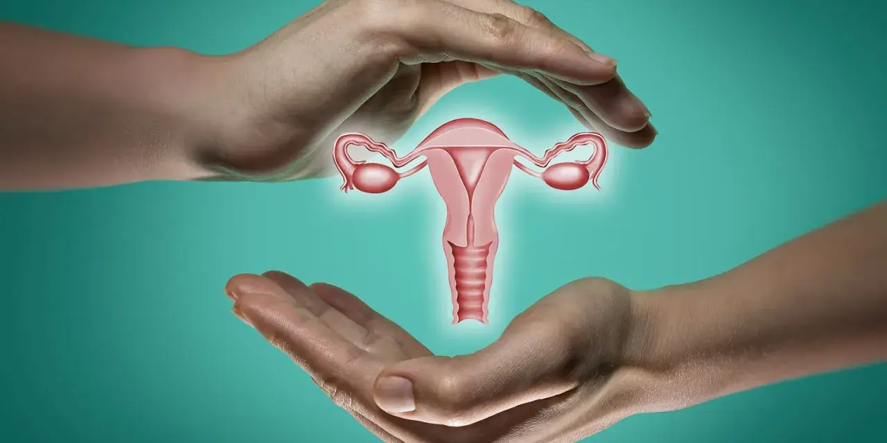 Dłonie otaczają macicę z jajowodami. Ilustracja symbolizuje troskę o zdrowie reprodukcyjne i pokazuje, jak wyczuć zamkniętą szyjkę macicy.