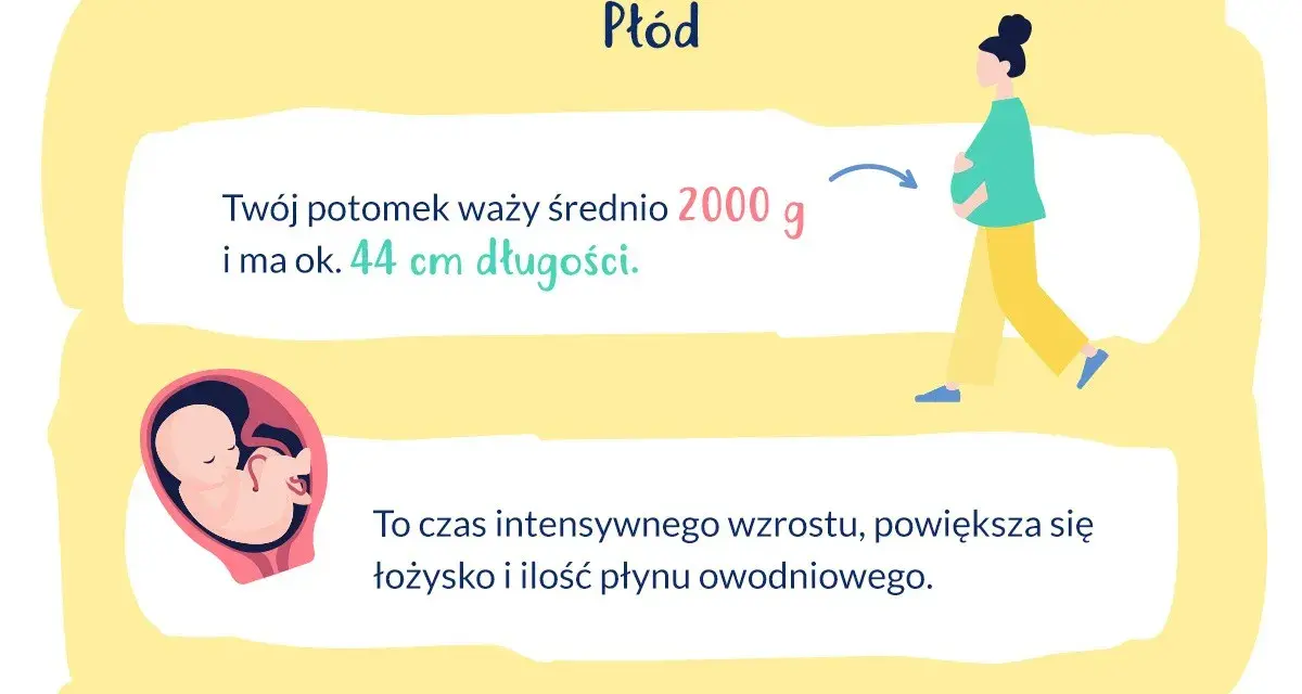 33 tydzień ciąży: płód waży ok. 2000 g i ma 44 cm. Intensywny wzrost, rośnie łożysko i płyn owodniowy.