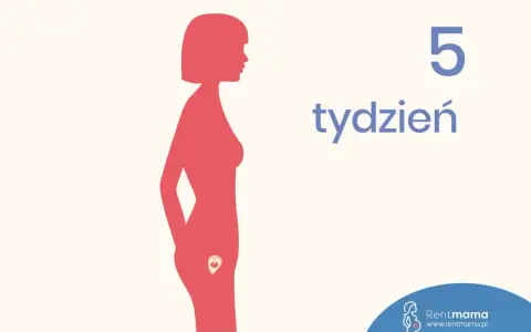 Sylwetka kobiety w profilu z zarodkiem w łonie, obok napis "5 tydzień".