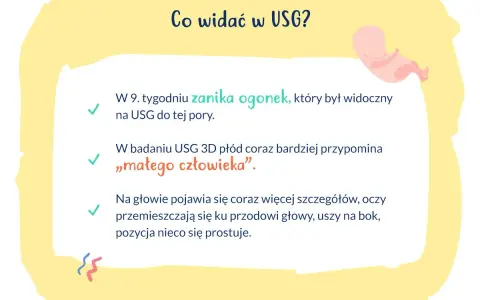 W 9. tygodniu ciąży zanika ogonek płodu, który na USG przypomina już "małego człowieka". Pojawiają się detale głowy.