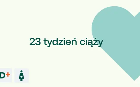 23 tydzień ciąży. D+ ikona kobiety w ciąży na jasnym tle z turkusowym sercem.