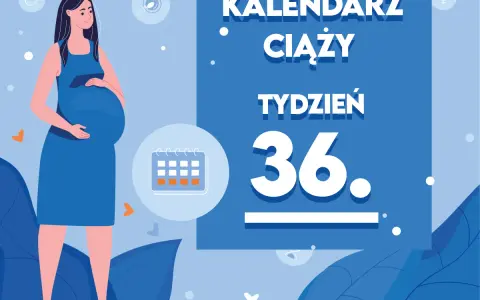 Kobieta w 36. tygodniu ciąży, z brzuszkiem. Obok kalendarz i napis "Kaledarz ciąży tydzień 36".