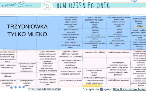 Tabela z propozycjami posiłków dla niemowląt, które stosują metodę BLW. Znajdziesz tu pomysły na śniadania, obiady i kolacje.