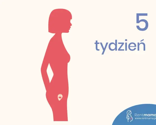 Sylwetka kobiety w profilu z zarodkiem w łonie, obok napis "5 tydzień".