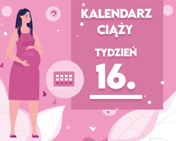 Ilustracja kobiety w ciąży z kalendarzem i napisem "Tydzień 16".