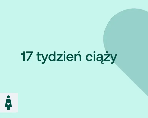 17 tydzień ciąży. Serce i ikony D+ oraz kobiety w ciąży na jasnym tle.