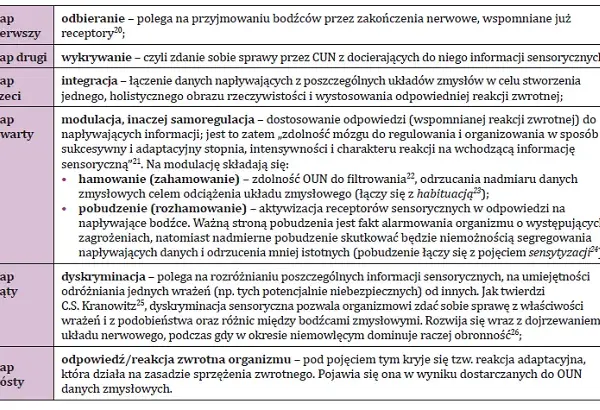 Testy integracyjne u dzieci: Przykłady i co mówią o rozwoju SI?