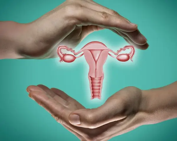 Dłonie otaczają macicę z jajowodami. Ilustracja symbolizuje troskę o zdrowie reprodukcyjne i pokazuje, jak wyczuć zamkniętą szyjkę macicy.
