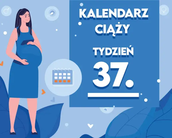 Kobieta w 37. tygodniu ciąży, blisko momentu, kiedy ciąża jest donoszona. Kalendarz ciąży wskazuje ten etap.