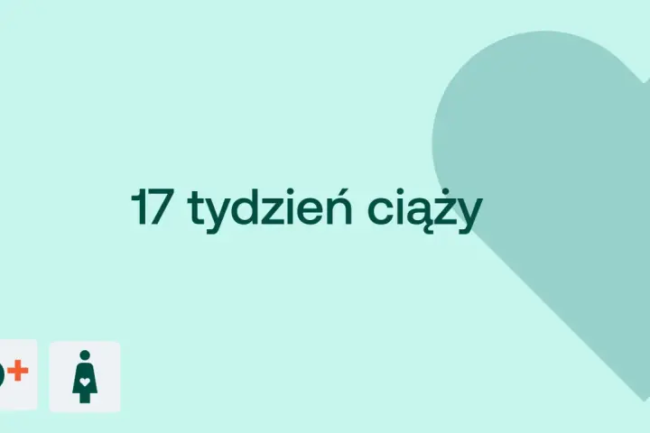 17 tydzień ciąży. Serce i ikony D+ oraz kobiety w ciąży na jasnym tle.