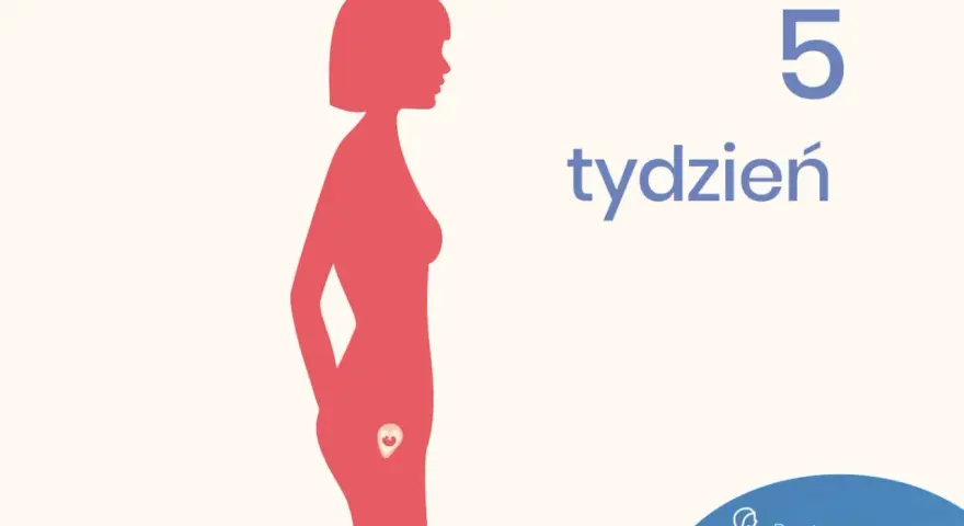 Sylwetka kobiety w profilu z zarodkiem w łonie, obok napis "5 tydzień".