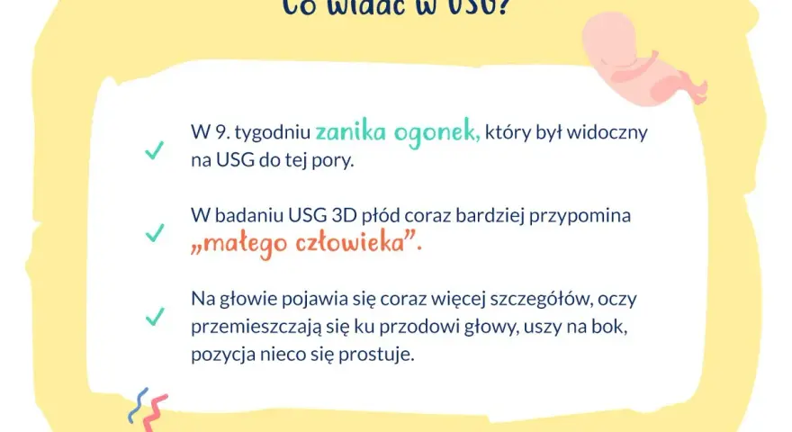 W 9. tygodniu ciąży zanika ogonek płodu, który na USG przypomina już "małego człowieka". Pojawiają się detale głowy.
