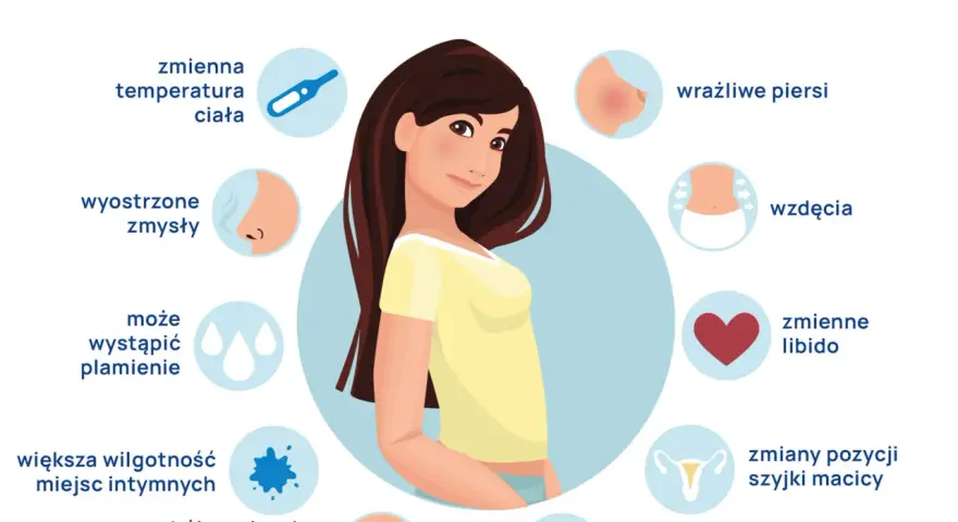 Objawy owulacji: zmienna temperatura, wyostrzone zmysły, plamienie, wilgotność, ból, wzdęcia, libido, nudności, bóle głowy, wrażliwe piersi, zmiany szyjki macicy.