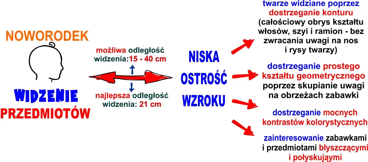 Jak widzi miesięczne dziecko: widzi kontury twarzy, proste kształty i mocne kontrasty. Najlepiej widzi z 15-40 cm, idealnie z 21 cm.