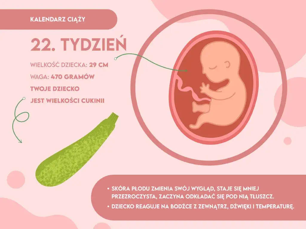 Rozwój płodu 22 tydzień ciąży