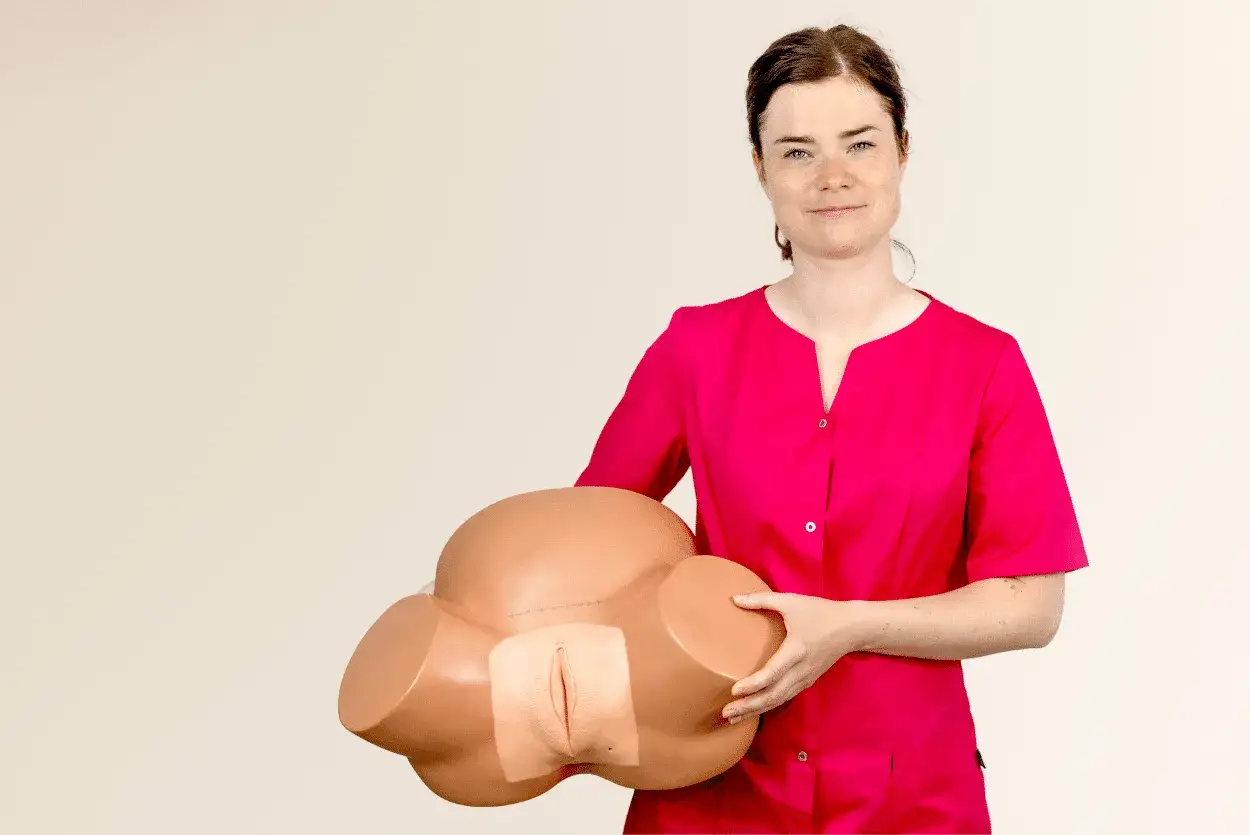 Model miednicy z zaznaczonym krocze, pomocny w zrozumieniu bólu krocza w ciąży.