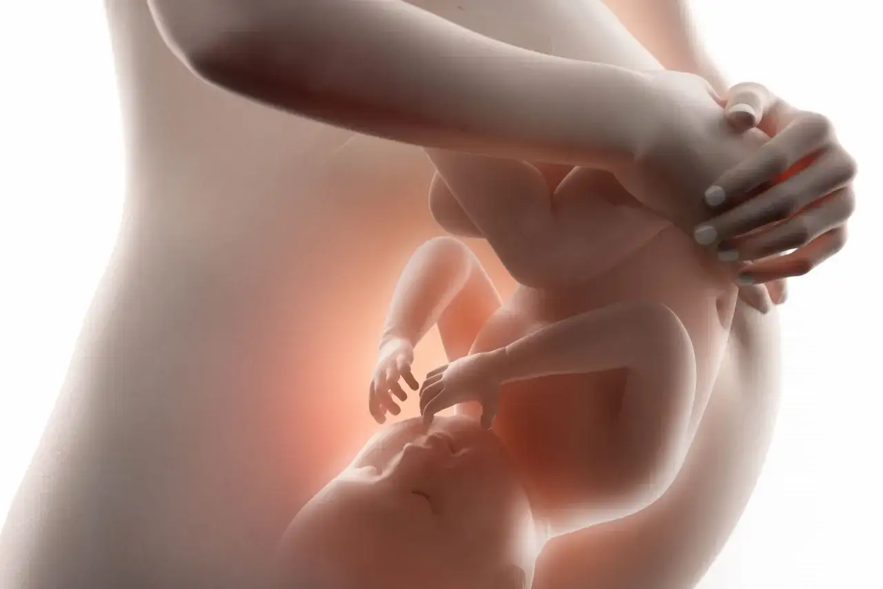 Dziecko w brzuchu mamy, czkawka u dziecka w brzuchu, delikatne ruchy i przygotowanie do narodzin.