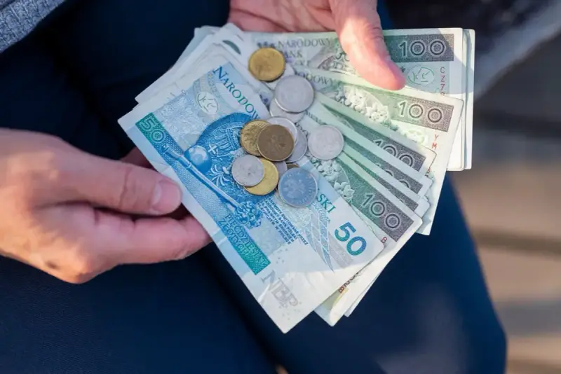Ręce trzymają polskie banknoty 50 i 100 zł oraz monety. To może być kwota na bon oświatowy.