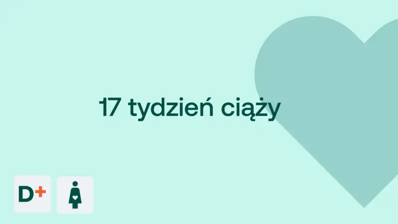 17 tydzień ciąży. Serce i ikony D+ oraz kobiety w ciąży na jasnym tle.