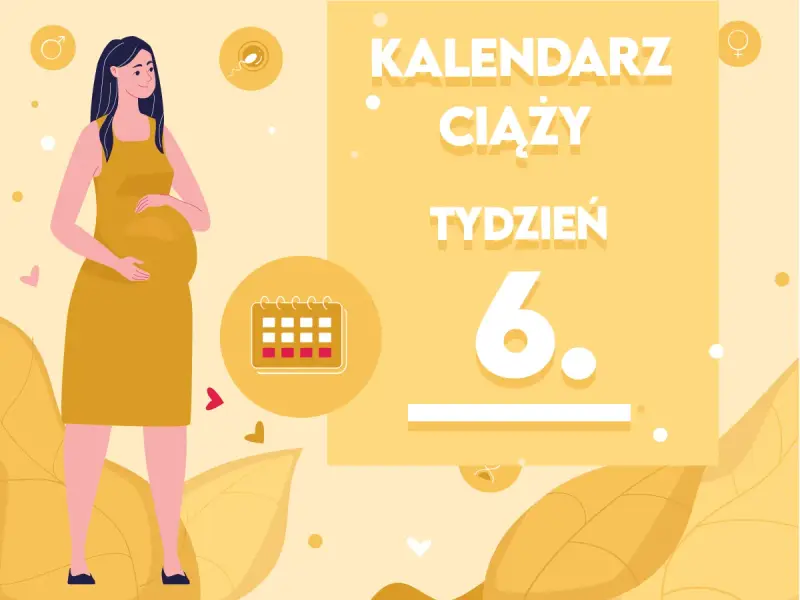 Kobieta w żółtej sukience, z widocznym brzuszkiem, symbolizuje 6 tydzień ciąży. Obok kalendarz i napisy "Kalendarz ciąży tydzień 6".